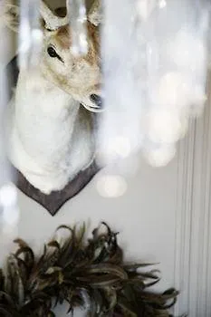 On The Πανσιόν 4*